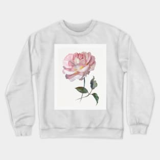 Pink delicate rose hand painted watercolour by Leanne Crewneck Sweatshirt